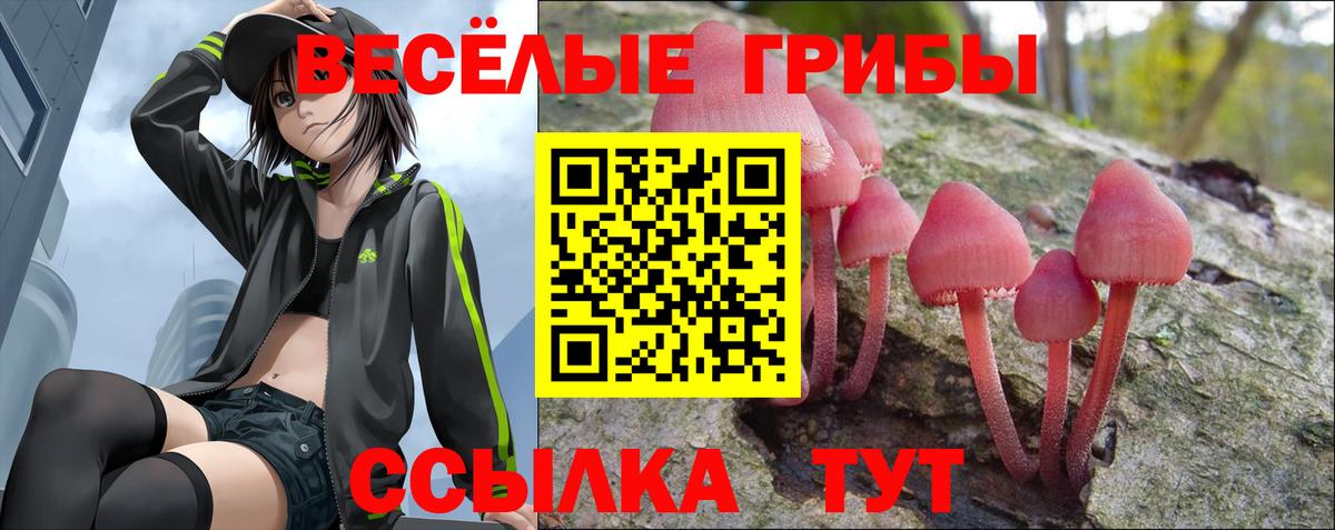 Галлюциногенные грибы Cubensis  Псилоцибиновые грибы мицелий  Кунгур  Вход с VPN 